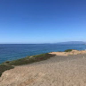 Meet your Posher, Shirley